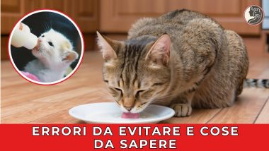 Errori da evitare e cose da sapere