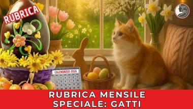 Rubrica mensile speciale gatti