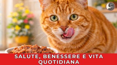 Salute, Benessere e Vita Quotidiana